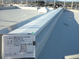 P1020315